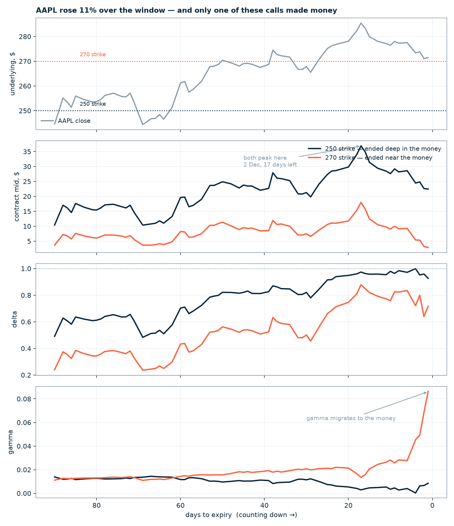 Anatomy of One Option: The Full Life of a Contract in 43 Fields
