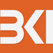BKI Investment Company Ltd logo