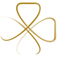 NSIS-B logo