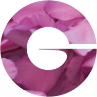 GIN1_logo