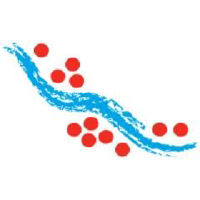L4R_logo
