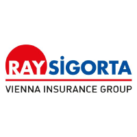 RAYS_logo