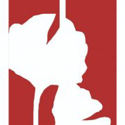 SINI_logo
