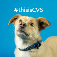 CVS Group Plc