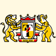 TI logo
