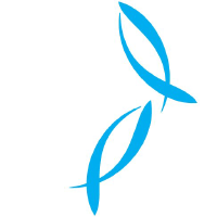 NZK_logo