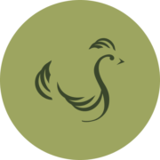Scandi Standard publ AB logo