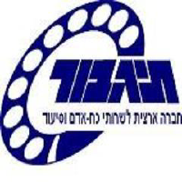 TIGB_logo