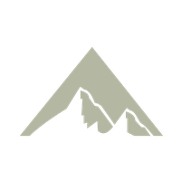 AZI logo