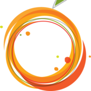 BRFH logo