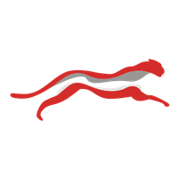 CTNT logo