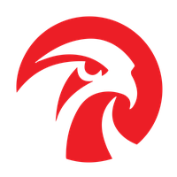 Falcon's Beyond Global, Inc. Class A Common Stock