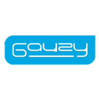 Gauzy Ltd. Ordinary Shares