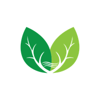 GWAV logo