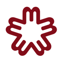 IGMS logo