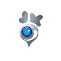 LOBO EV TECHNOLOGIES LTD. Ordinary shares