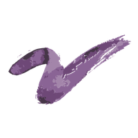 LSFG logo