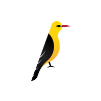 OROVY logo