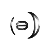PAVS logo