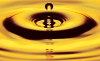 PREI_logo
