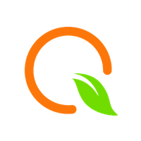 QGSI logo
