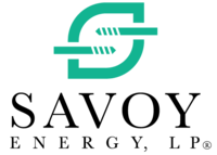 SNVP_logo