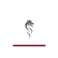 STG logo