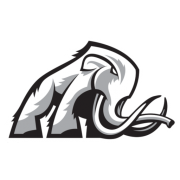 Mammoth Energy Services Inc