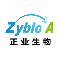ZYBT logo