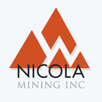 NIM_logo