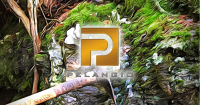 PX_logo