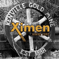XIM_logo
