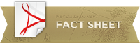 ZON_logo