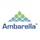 Ambarella Inc icon