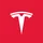 Tesla Inc icon