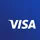 Visa Inc icon