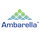Ambarella Inc icon