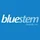Bluestem Group Inc icon