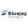 Bluejay Mining plc icon