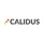 Calidus Resources Ltd icon