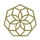 Direxion Daily CSI China Internet Bull 2X Shares icon