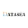 Datasea Inc icon