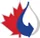High Arctic Energy Services Inc icon