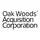 Oak Woods Acquisition Corporation Warrant icon