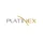PTX Metals Inc. icon