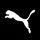PUMA SE icon