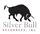 Silver Bull Resources Inc icon