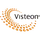 Visteon Corp icon
