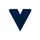 VGLIF icon