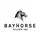 Bayhorse Silver Inc icon
